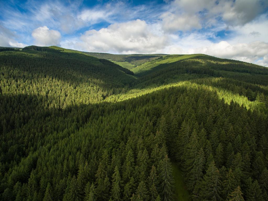 Hotel Penzion pod Šerákem Ostružná Exteriér fotografie