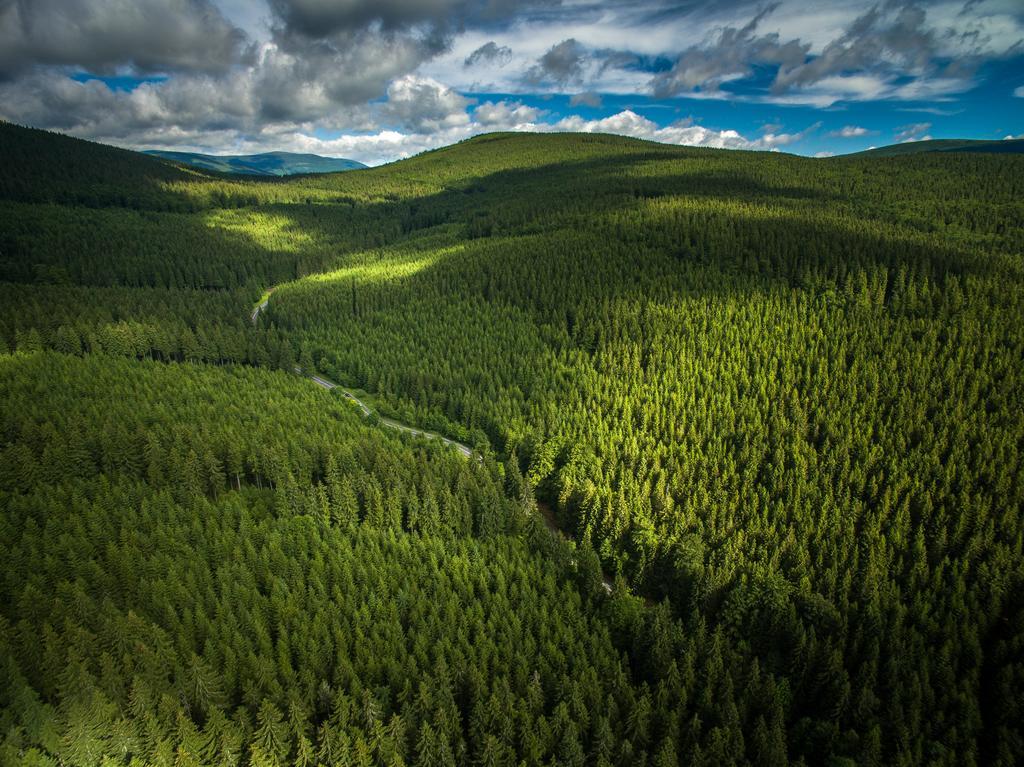 Hotel Penzion pod Šerákem Ostružná Exteriér fotografie