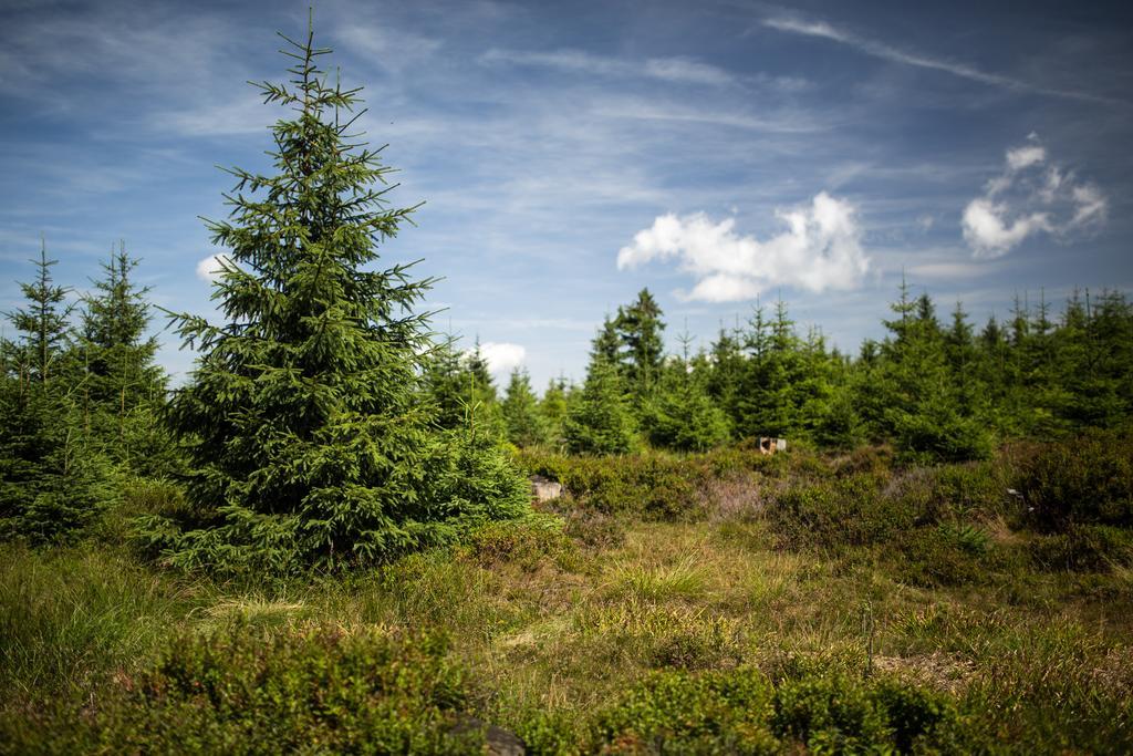 Hotel Penzion pod Šerákem Ostružná Exteriér fotografie