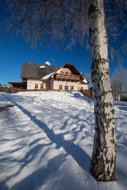 Hotel Penzion pod Šerákem Ostružná Exteriér fotografie